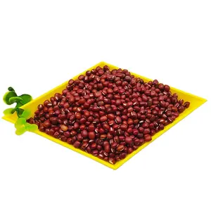 Harga pabrik Sehat segar murni alami kering organik jenis bulat merah kecil biji Azuki merah
