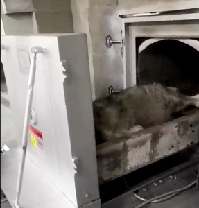 <span class=keywords><strong>Forno</strong></span> Crematorio per Animali Domestici 2025 al Miglior Prezzo, Holy Shield, Senza Fumo, Controllato da PLC, con Motore, Inceneritore per Rifiuti di Pollame - Product Image 2