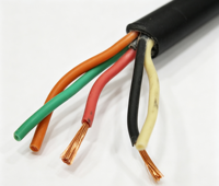 Câble basse tension industriel pour éclairage mobile extérieur de jardin et aménagement paysager SJOOW SOOW 2x14AWG en cuivre recuit PE/CPE caoutchouc 300/600V