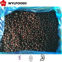 Bevroren Zwarte Bes Eersteklas Gedroogd Fruit Voor Uw Gezonde Snack Of Culinaire Lekkernijen