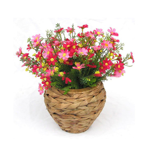 <span class=keywords><strong>Cesta</strong></span> <span class=keywords><strong>de</strong></span> plantas africanas con cestas Decoración <span class=keywords><strong>de</strong></span> flores Protección Venta al por mayor <span class=keywords><strong>Árbol</strong></span> al aire libre Colgando <span class=keywords><strong>Cesta</strong></span> <span class=keywords><strong>de</strong></span> plantas africanas - Product Image 2