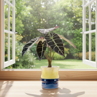 Haute Assurance Artificielle Verdure Eau Arum Feuille Pot En Céramique Décoration De Bureau À Domicile avec Des Branches De Fleurs Ornement Extérieur
