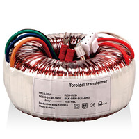 Transformateur toroïdal 50W 100W 200W 300W 500W Entrée 110V 220V Sortie 9V 12V 18V 24V 28V 35V pour amplificateur domestique et alimentation UPS