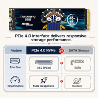 FANXIANG S790E M.2 2280 SSD 1TB NVMe PCIe 4.0 Disque SSD Interne 600TBW OEM Fournisseur en Gros pour Système d'Assemblage