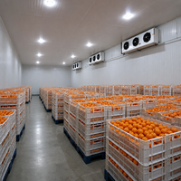Grand projet de chambre froide industrielle, entrepôt frigorifique commercial avec unité de réfrigération pour atelier de transformation alimentaire