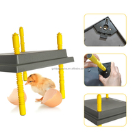 YYC thermostatique animaux réchauffeur pour animaux de compagnie chauffage volaille oiseau plaque chauffante bébé poussin couveuse chauffage