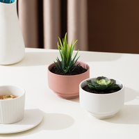 Pot de fleurs en porcelaine moderne nordique pour salon, pot de plante succulente en céramique unique, application domestique