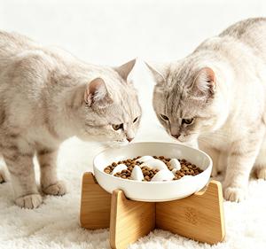 White Ceramic <b>Cat</b> Slow <b>Feeder</b> Bowl Elevated Wooden Stand Luxury Pet Food Water Bowl Set - Product Image 1