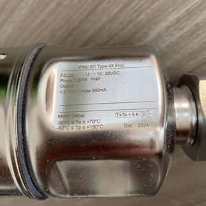 Nouveau capteur de niveau à vibration compact E+H FTL50-1M2C0/0 - Product Image 2