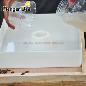 Nuevo Alimentador Cuadrado de Plástico Menger Bee BF-10 de 6L con 72mm de Altura, 1000g, Dimensiones 390x330mm, 2 Años de Garantía para Apicultura - Product Image 2