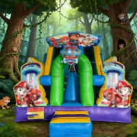 Structure gonflable et toboggan combinés sur le thème des dessins animés, en PVC de haute qualité, avec garantie de 3 ans, installation facile pour les enfants