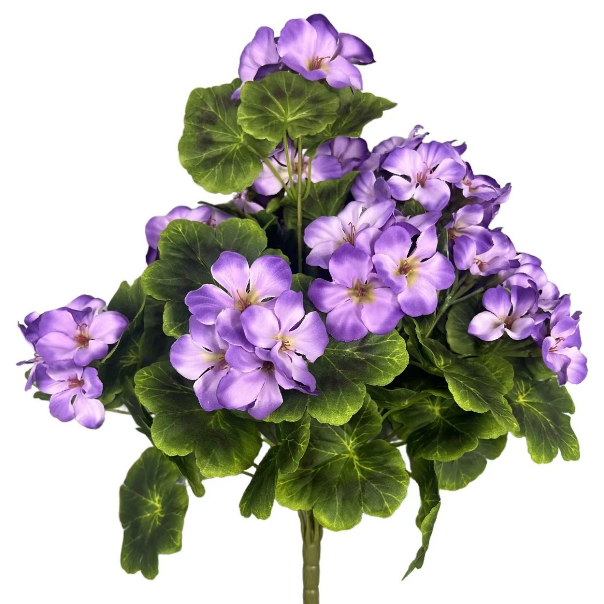 9 purple orchid