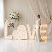 Lettres lumineuses LED de 4 pieds pour mariage, enseignes « Marry Me » et « Love », lettres lumineuses décoratives pour événements