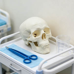 DARHMMY Mini 1/2 tamaño cráneo Modelo 3 piezas para educación y entrenamiento de Ciencias Médicas - Product Image 2