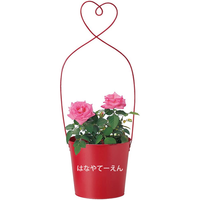 Pot de fleurs en métal cadeau Saint Valentin rouge Japon mignon mini serre message pot de plante