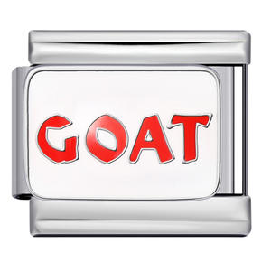 Mode acier inoxydable anglais <span class=keywords><strong>argot</strong></span> lettre chèvre Piegon italien <span class=keywords><strong>breloque</strong></span> liens 9mm Bracelet bricolage faisant des bijoux - Product Image 6