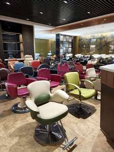 2026New Model Factory Wholesale Stainless Steel Hair Salon Chair Hair Chair with Rotating and Elevating Function Salon Furniture - Product Image 4