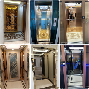 Iyi fiyat 10 kişi yolcu asansörü/630kg çekiş ticari asansör/özelleştirilmiş Villa konut asansörü - Product Image 6