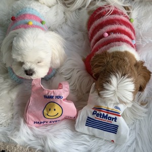 Juguete chirriante para perros con forma de bolsa de compras, juguete para perros con papel crujiente para esconder golosinas, juguete masticable personalizable para cachorros - Product Image 3