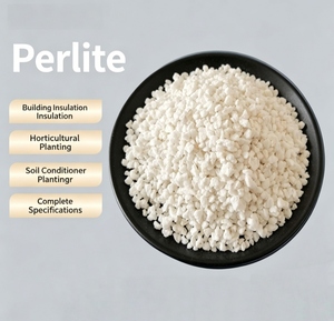<span class=keywords><strong>Perlita</strong></span> Hortícola 3-6mm 2-4mm a Granel para Plantas, Germinación de Semillas, Aireación del Suelo, Crecimiento de Raíces, Mejora del Drenaje - Product Image 1