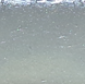 Plata