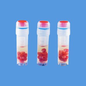 Bouillon de Lactobacillus (<span class=keywords><strong>APT</strong></span>) pour la culture des bactéries lactiques - Product Image 4