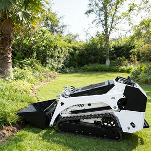 شحن مجاني لودر صغير جديد رخيص للاستخدام في الحدائق الصغيرة لودر انزلاقي صغير - Product Image 4