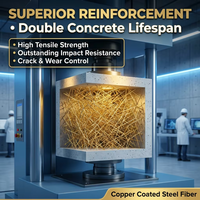 Fibres d'acier renforcées durables, anti-corrosion, résistantes au feu, matériaux de construction pour le revêtement de tunnels et les poutres en fibre d'acier