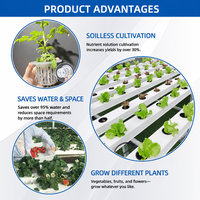 Système hydroponique NFT professionnel en PVC pour la production efficace de légumes-feuilles et de laitues
