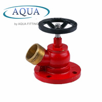Hydrant d'incendie souterrain de haute qualité en fonte ductile et en laiton DN100