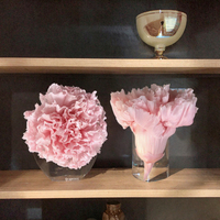 Fleur d'œillet stabilisée éternelle en gros, pour la Fête des Mères, grande tête de 4-5 cm, longue durée (3-5 ans), directement de l'usine