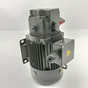 Motor Hidráulico UVN-1A-1A2-15A-4-10 UVN-1A-1A4-22-G23-6063B UVN-1A-0A4-1.5-4-12 Bomba de Aceite Combinada con Motor UVN-1A-1A3-22E-4DU-6313 - Product Image 4