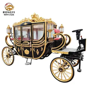 Carrozza elettrica reale a buon mercato/carrozza diretta della fabbrica di lusso reale carrozza di scultura platino doppia fila turismo