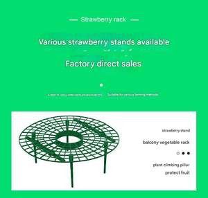 Étagère à fraises chaudes Outils de jardinage en plastique écologiques Balcon Plantation de légumes en pot Support de <span class=keywords><strong>palette</strong></span> Pots de fleurs et jardinières - Product Image 5