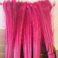 Plumes de paon blanchies et teintes en rose de 30 à 35 pouces, en vrac, pour costumes de carnaval