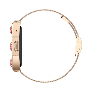 2025 nouveau DS02 dames Bracelet intelligent étanche femmes <span class=keywords><strong>montre</strong></span> intelligente avec fréquence cardiaque pression artérielle oxygène sanguin Fitness tracker - Product Image 5