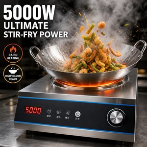 เตาแม่เหล็กไฟฟ้าแบบเว้า 5000 วัตต์ สำหรับร้านอาหารจีน ครัวเชิงพาณิชย์ รองรับไฟ 110V 220V - Product Image 3