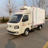 Nueva Carrocería para Camión Refrigerador de FRP+XPS, Modelo Shacman, Dongfeng, Jiefang, Howo, Toyota, Jac, Foton, Steyr, para Cabinas de Carga