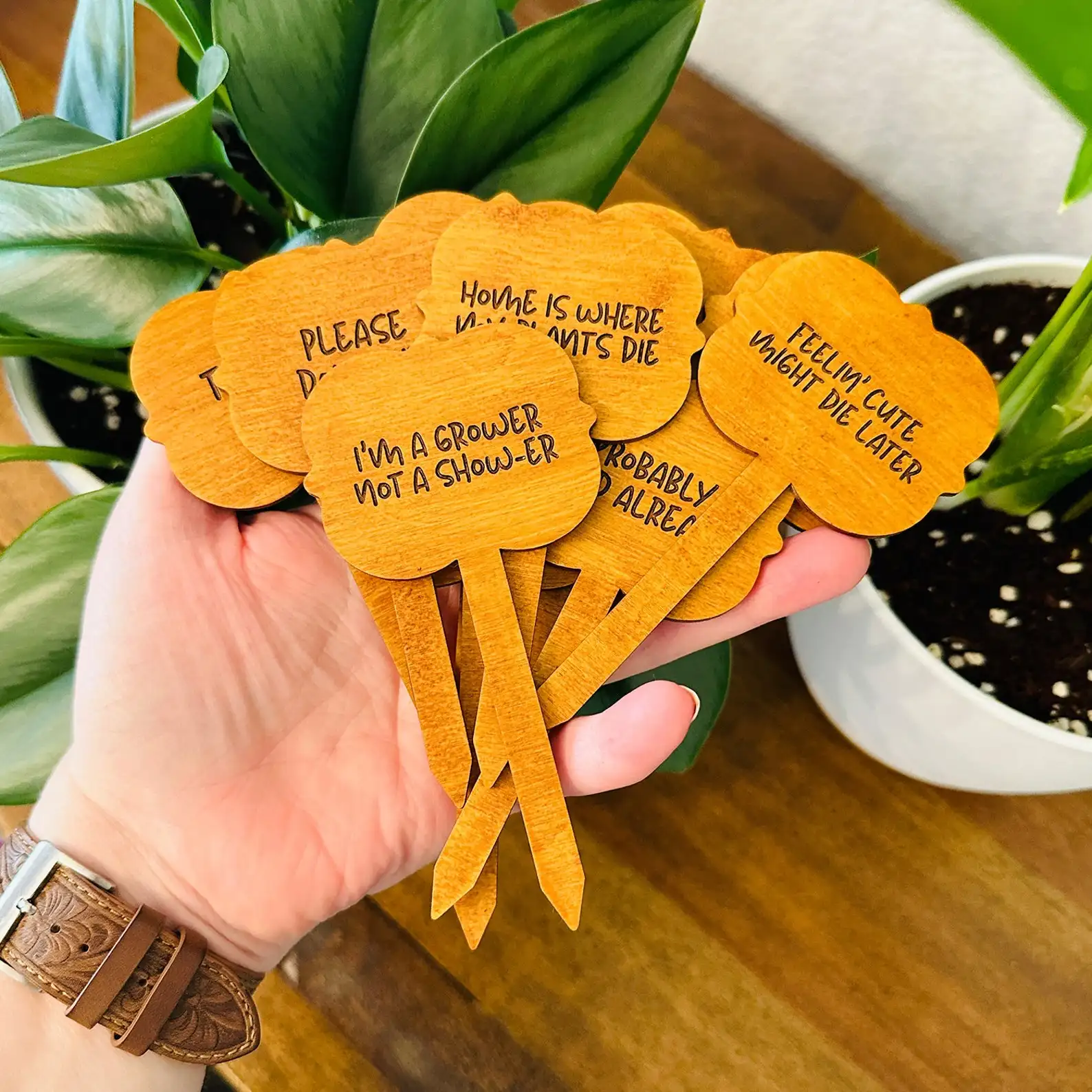 Etiquetas de madera de bambú para plantas, marcadores ecológicos para jardín, palo de estaca para semillas, hierbas, flores y verduras