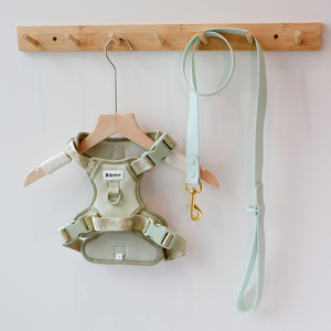 Sunraymascota yeni 2025 köpek koşum üreticileri Anti çekme yastıklı köpek koşum yaka tasma seti özel hiçbir çekme köpek koşum - Product Image 2