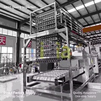 Machine de cuisson et de tri de chips de pommes de terre, ligne de production de chips de pommes de terre