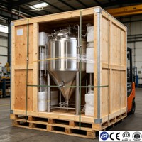 Tanque de Fermentación de Alcohol de Acero Inoxidable, Fermentador para Destilería de Licores, Sanitario, SS304, 200L-2000L