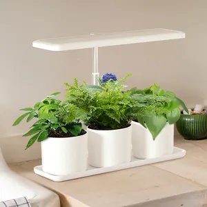 J&C Mini Garden Indoor Plants Spectrum Countertop Herb Garden with LED Grow Light Manufacturers