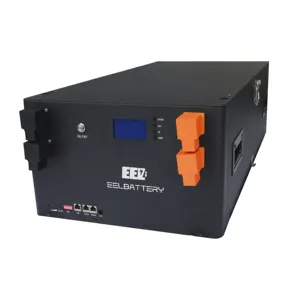 EEL DIYバッテリーケース48Vエネルギー貯蔵バッテリーパック (Bluetooth付き) 100A150A 200A BMSヒューズ16S 280Ah LiFePO448Vバッテリーボックス