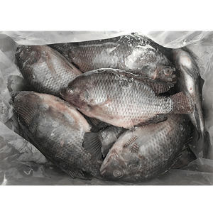 Poisson Tilapia Noir Entier en Gros, Fruits de Mer - Product Image 2