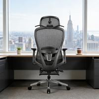 Chaise de bureau ergonomique à dossier haut, chaise de direction pivotante, chaise de jeu avec coussin lombaire en mousse à mémoire de forme 2D