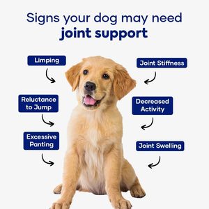 Complément alimentaire pour chiens OEM ODM - Soulagement des douleurs articulaires chez le chien - Glucosamine, chondroïtine, curcuma, comprimés à mâcher souples - Product Image 3