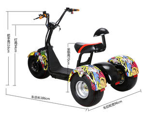 OEM Vente à Chaud Entrepôt Vélo Adulte à <span class=keywords><strong>Trois</strong></span> <span class=keywords><strong>Roues</strong></span> Batterie au Lithium 60V 20Ah 2000w Tricycle Scooter Électrique - Product Image 6