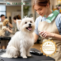 Sèche-cheveux pour animaux de compagnie, souffleur d'eau pour toilettage canin, à suspendre au cou, mains libres, avec support de bureau