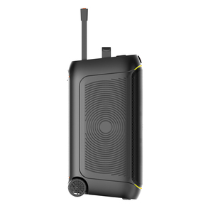 Altavoz Inalámbrico para Fiestas con Doble Woofer de 8 Pulgadas, con USB/Tarjeta TF/BT/TWS/Grabación/Radio FM/Pantalla Digital/Entrada Auxiliar/Entrada para Micrófono/Luz Intermitente RGB - Product Image 3